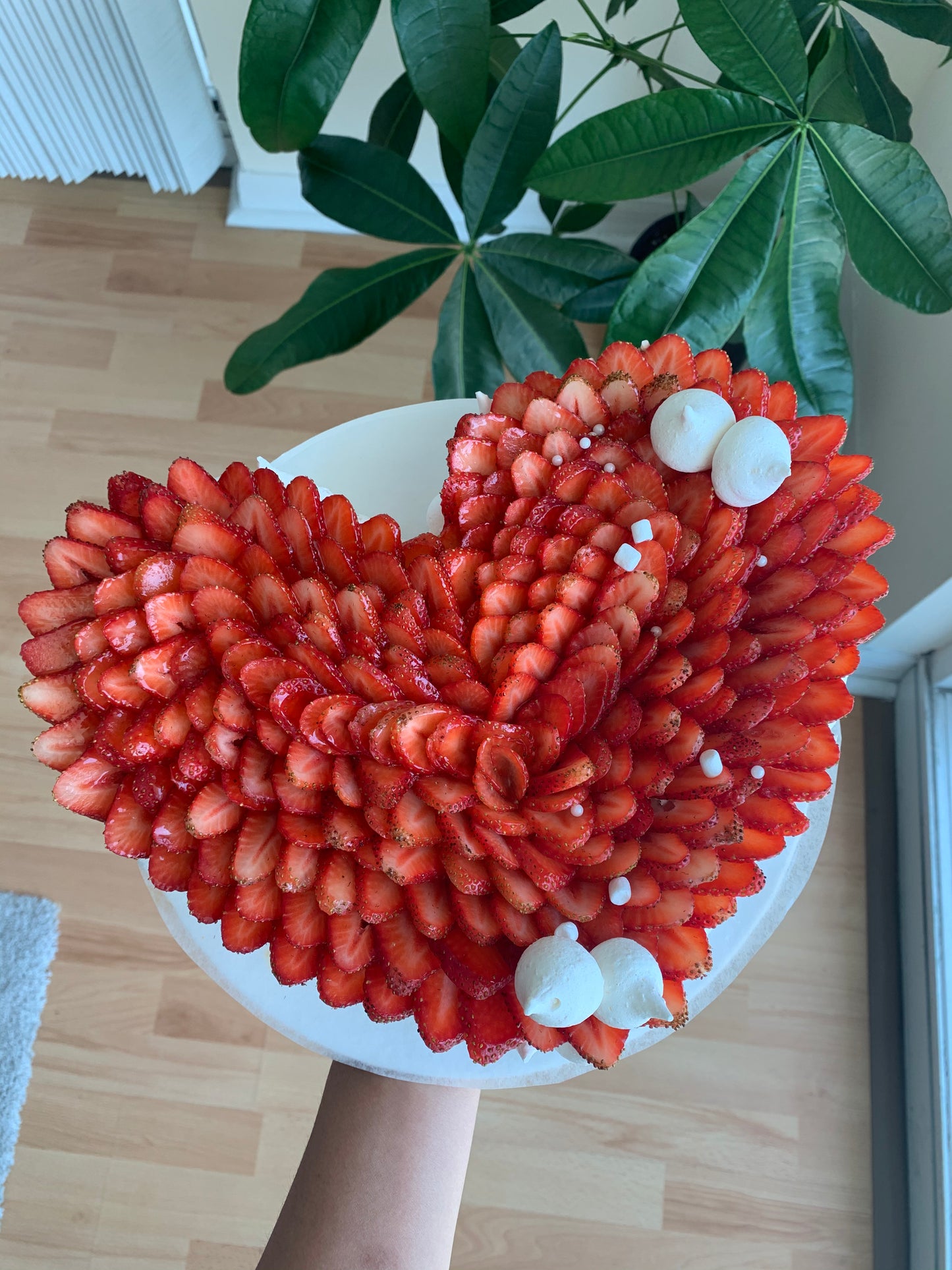 PAVLOVA MASTERCLASS